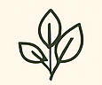 Biodegradable Icon