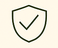 Safe icon
